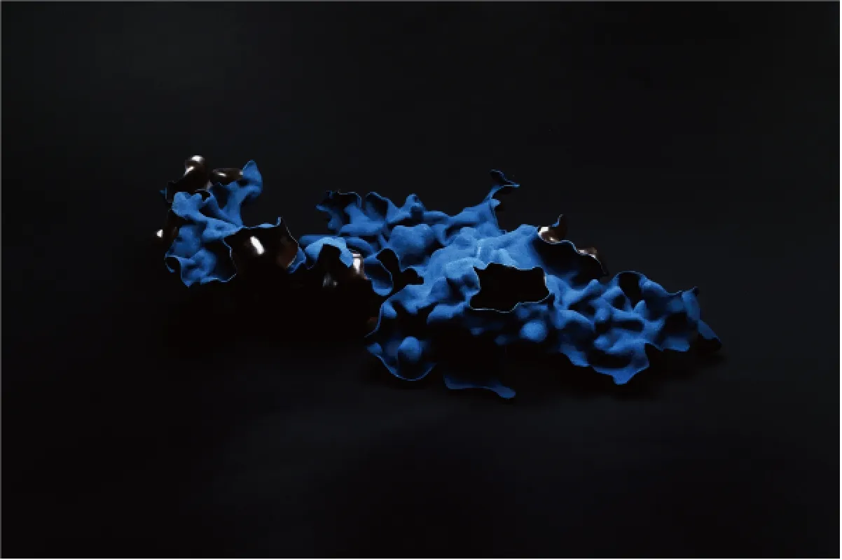 W&F URUSHI